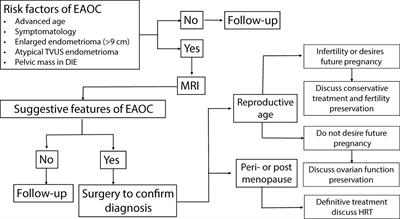 At what age endometriosis-associated ovarian cancer is diagnosed? The implications for women in the reproductive age